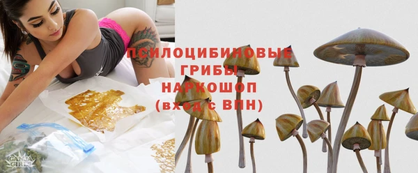 прущий лед Горно-Алтайск