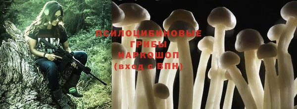 прущий лед Горно-Алтайск